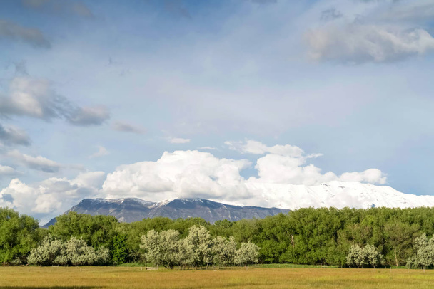 Montaña de remolque exuberantes árboles y extenso campo de hierba bajo el cielo azul nublado
 - Foto, Imagen