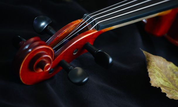 housle hudba klasická strunný nástroj - Fotografie, Obrázek