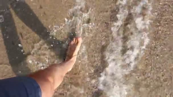 Miehen jalat kävelevät kirkkaaseen matalaan veteen.Miehen jalat, kunnes hän kävelee paljain jaloin matalassa merivedessä. Kuva - JPEG-videokoodekki
             - Materiaali, video