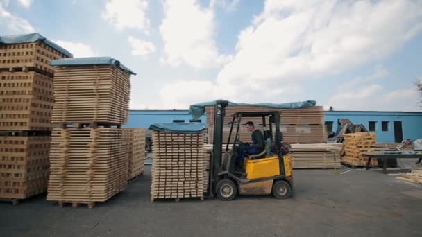 Χειριστής περονοφόρου που χειρίζεται ξύλινες παλέτες στην αποθήκη. Άνθρωπος με τη χρήση φορτωτή το πακέτο των ξύλινων σανίδων. - Πλάνα, βίντεο