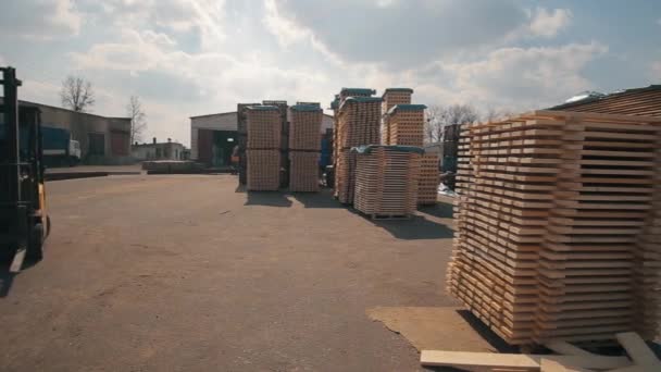 Vorkheftruck operator omgaan met houten pallets in magazijn. Man met Loader dor Pack van houten planken. - Video