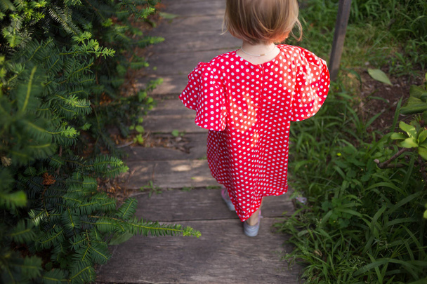 Девушка ходит по пешеходной тропе в саду или лесу. Маленькая храбрая девочка в красном платье в горошек ходит одна по деревянной дорожке. Пешие прогулки и прогулки на природе. Отдых и активный отдых
. - Фото, изображение