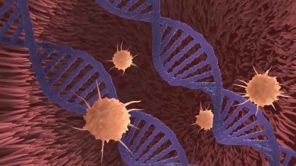 Deoksiribo Acide nucléique, Animation 3D de l'ADN
 - Séquence, vidéo