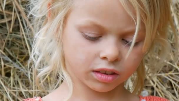 Portrét krásné sedmileté blonďaté dětské dívky se špinavou, znečištěnou tváří na pozadí sena v letním dnu venku ve vesnici - Záběry, video