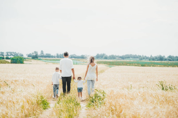 A family of four is walking in a wheat field on summer day. - Фото, изображение