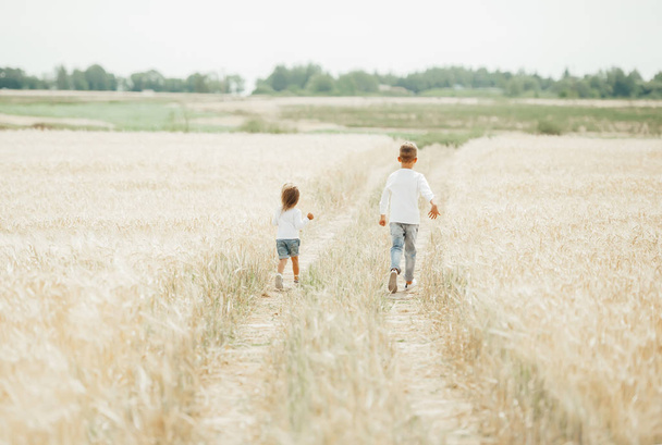 Glückliche Kinder beim Laufen im Weizenfeld bei sonnigem Wetter. zurück - Foto, Bild