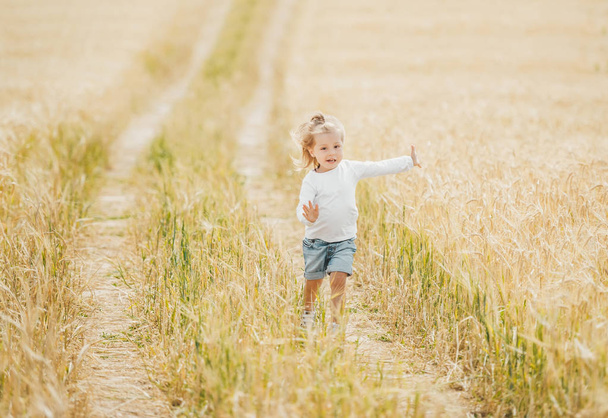 Little girl running in the wheat field in sunny day - Photo, Image