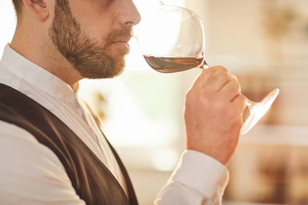 Side view portrait of professional sommelier holding glass during wine tasting session lit by sunlight, copy space - Photo, Image