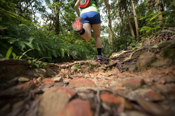 Női ultra maraton futó futó futó trópusi erdei ösvényen - Fotó, kép
