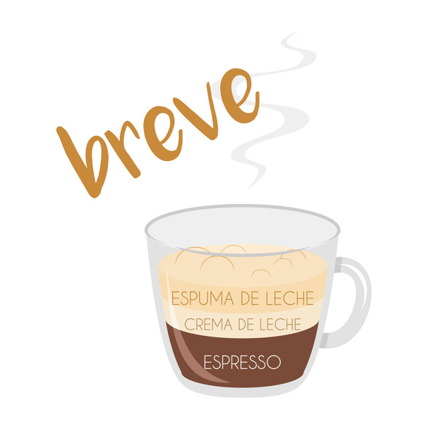 Vector illustratie van een breve Coffee Cup pictogram met de voorbereiding en de verhoudingen en namen in het Spaans. - Vector, afbeelding