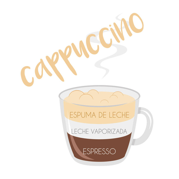 Vektorillustration einer Cappuccino-Kaffeetasse mit ihrer Zubereitung sowie Proportionen und Namen in Spanisch. - Vektor, Bild