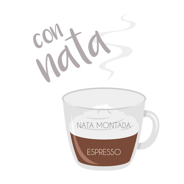 Vektorillustration eines Espressos mit Schlagsahne Kaffeetasse Symbol mit seiner Zubereitung und Proportionen und Namen in Spanisch. - Vektor, Bild