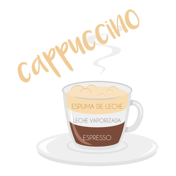 Vektorillustration einer Cappuccino-Kaffeetasse mit ihrer Zubereitung sowie Proportionen und Namen in Spanisch. - Vektor, Bild