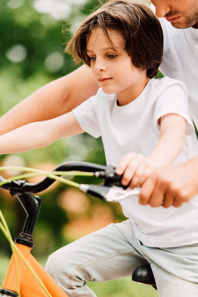 cropped view of father holding handles of bicycle while son riding on bike - Photo, Image
