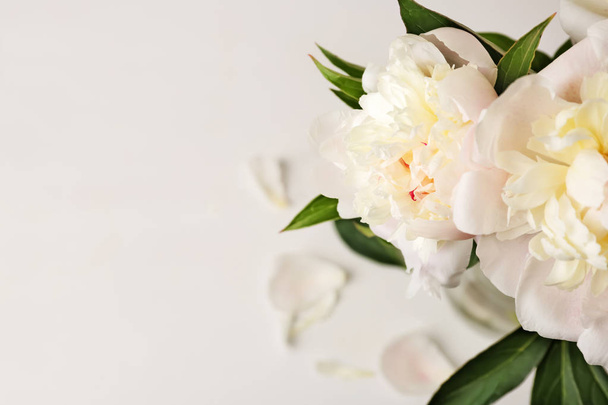 Красивые пионские цветы на белом фоне, крупный план
 - Фото, изображение