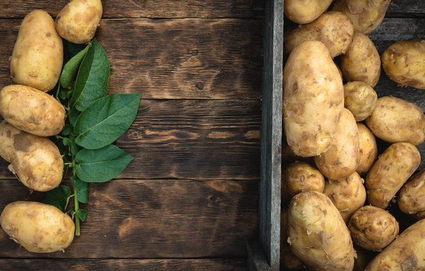 Heap of raw potato harvest and a potato green leaves on a wooden garden table background with copy space. - 写真・画像