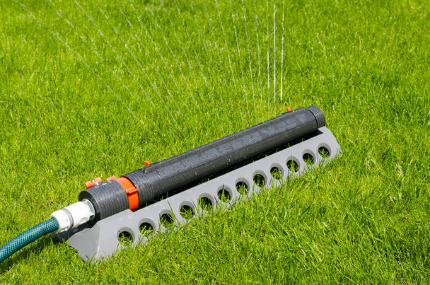 Kastelujärjestelmä, sprinkleri spaying vettä yli vihreä ruoho nurmikko
 - Valokuva, kuva
