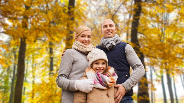 happy family in autumn park - Foto, immagini