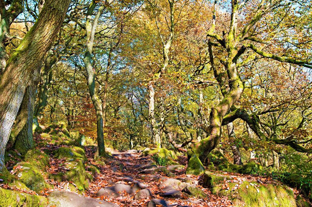 Grindleford is a beautiful part of Derbyshire, close to Sheffield, with wonderful ancient oak woodland, including Padley Gorge and Burbage Brook and open moorland and countryside surrounding the Longshaw Estate. - Photo, Image