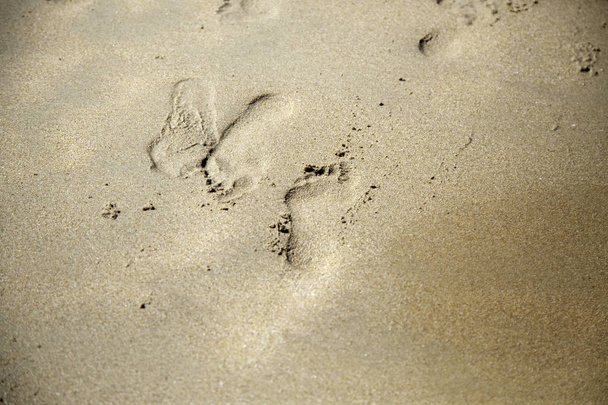 jalanjäljet rannalla - Valokuva, kuva