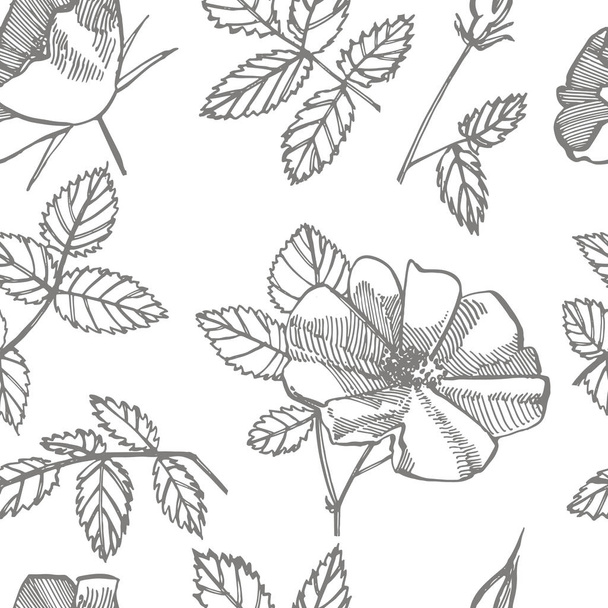 Wild rose flowers drawing and sketch illustrations. Decorative floral set for fabric, textile, wrapping paper, card, invitation, wallpaper, web design. Seamless patterns. - Фото, зображення