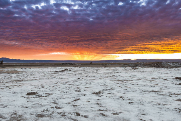 Il lago salato di Atacama (Salar de Atacama) nel deserto di Atacama, Cile
 - Foto, immagini