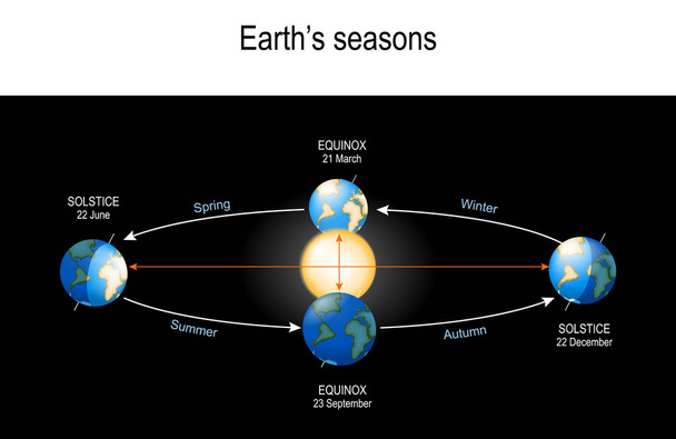 Earth 's Seasons. El movimiento de la Tierra alrededor del Sol
. - Vector, Imagen