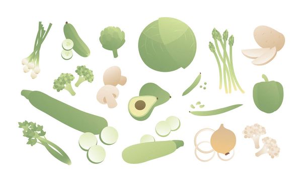 Векторний кольоровий зелений набір овочів. Сучасний стиль плоский колоритний ілюстрація овоча зі скибочками ізольовані на білому тлі. Елементи дизайну банера, плакату, Інтернету, вегетаріанця, літа, меню, вітаміну
 - Вектор, зображення