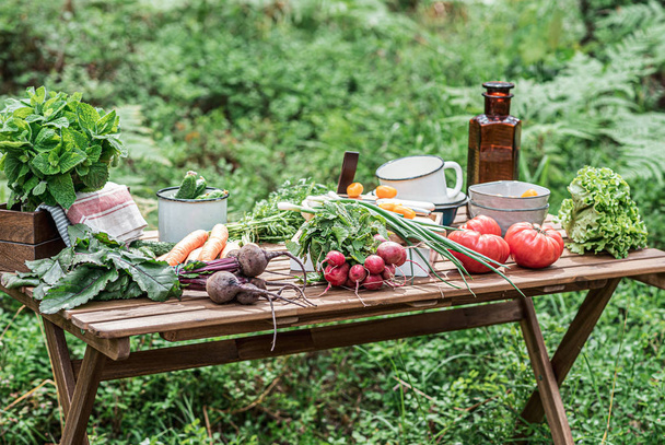 Various fresh vegetables on the wooden table. BIO food concept. - Fotoğraf, Görsel