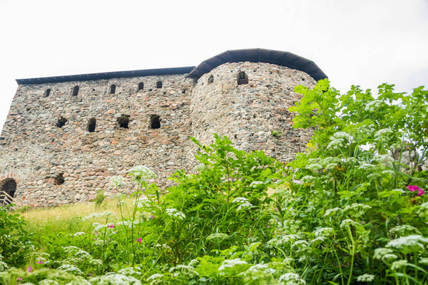 Château médiéval de Raseborg sur un rocher en Finlande en été
 - Photo, image
