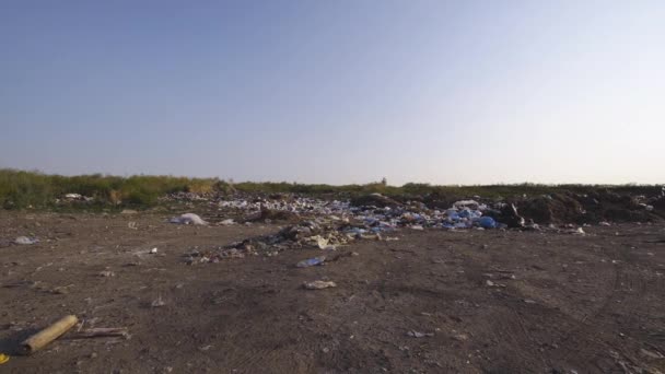 Wütender Junge läuft auf Müllkippe - Filmmaterial, Video