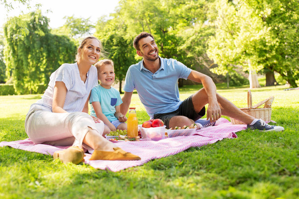 šťastný rodinný piknik v letním parku - Fotografie, Obrázek