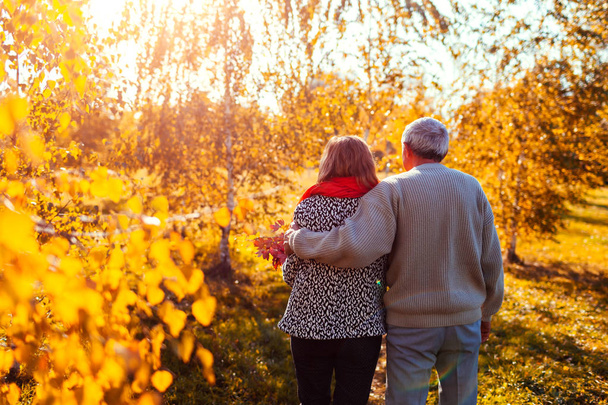 Casal sênior caminhando na floresta de outono. Homem e mulher de meia-idade abraçando e arrepiando ao ar livre
 - Foto, Imagem