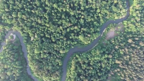 Güzel bir orman veya park, nehrin güzel bir viraj havadan üst görünümü. Çevre dostu çevre, orman ve yaban hayatı, drone atış - Video, Çekim