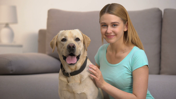 alegre labrador retriever perro femenino propietario sonriendo a cámara mascota compañerismo
 - Metraje, vídeo