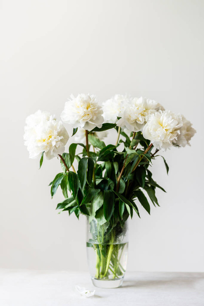 Banda úžasných peonků v vázu - Fotografie, Obrázek