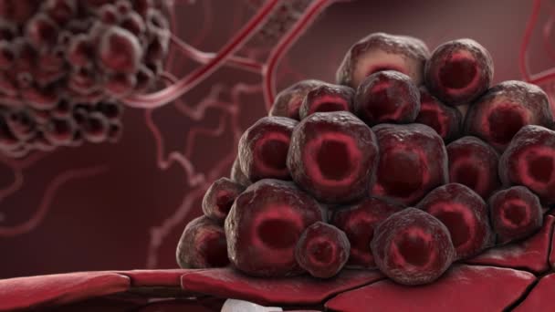 Komórki nowotworowe atakujące białe krwinki - Materiał filmowy, wideo