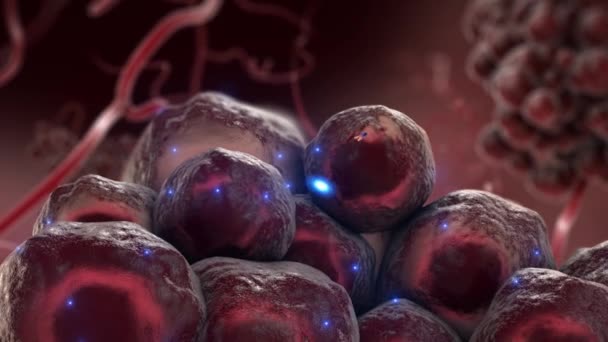 Tümör hücrelerine saldıran antikorlar - Video, Çekim