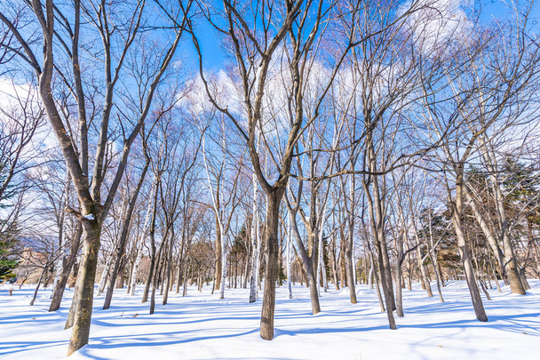 Beautiful landscape with tree in snow winter season - Φωτογραφία, εικόνα