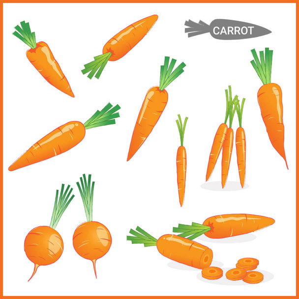 Set frisches Karottengemüse mit Karottenspitzen in verschiedenen Schnitten und Stilen im Vektorillustrationsformat  - Vektor, Bild