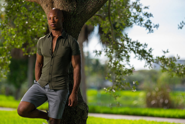 gutaussehender, entspannter Mann, der sich im Park an einen Baum lehnt. Afrikanischer Ammer - Foto, Bild