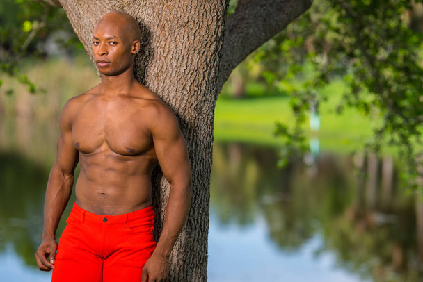 Retrato de um modelo de fitness sem camisa posando por uma árvore no pa
 - Foto, Imagem