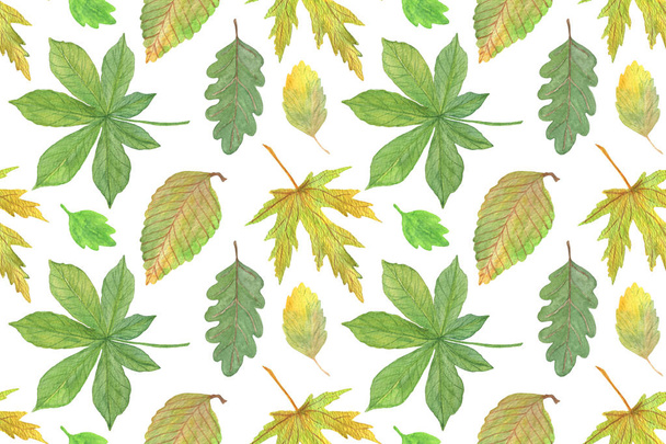 Acuarela dibujada a mano hojas de árboles de otoño, acuarela estacional il
 - Foto, Imagen