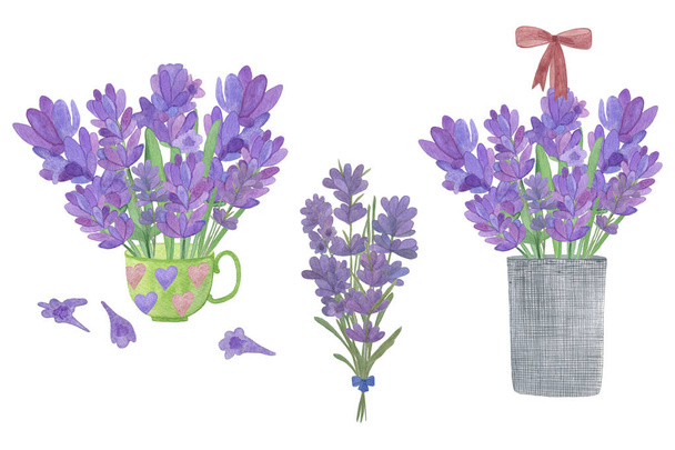 Ručně vykreslené vodní barvy levandulové květinové kytice na bílém pozadí - Fotografie, Obrázek