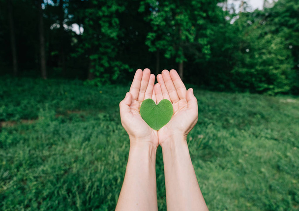 καρδιά των πράσινων φύλλων σε φοίνικες ανθρώπους - Φωτογραφία, εικόνα