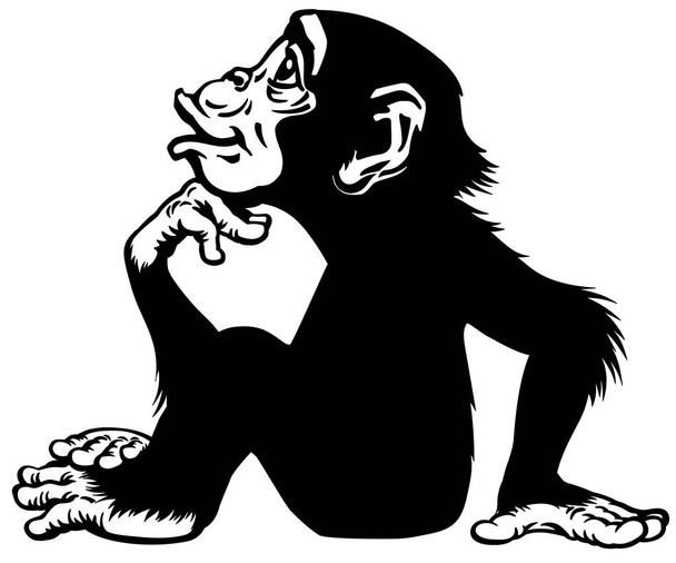  Sarjakuva Simpanssi ajattelija profiili musta ja valkoinen - Vektori, kuva