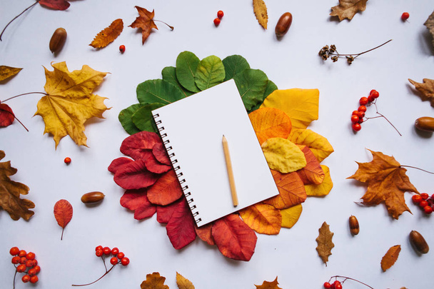 Bloco de notas vazio em um fundo de outono
 - Foto, Imagem