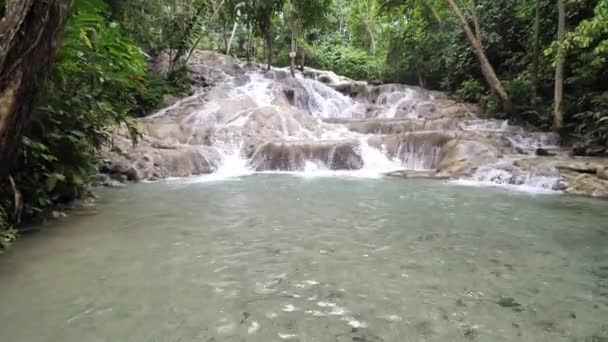 Piękny niski widok punktu widokowego kaskadowych wodospadów w rzece Dunn spada z bujną roślinnością z rozpryskiwania wody w Ocho Rios na tropikalnej wyspie Jamajka popularnym miejscem podróży. - Materiał filmowy, wideo