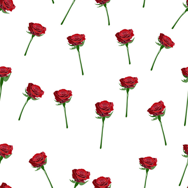 Red rose wide buttons on the stem vector seamless pattern on a white background. - Vector, imagen