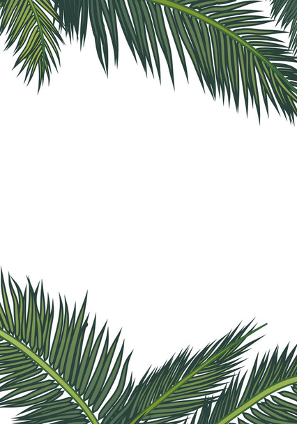 marco de hojas de palma exóticas tropicales de verano, ilustración de arte vectorial
. - Vector, imagen